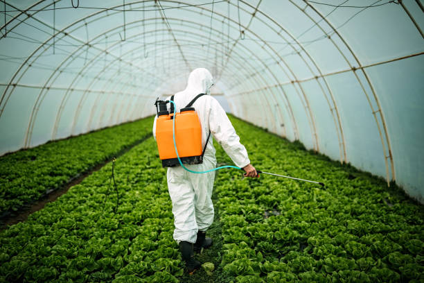 Best Best Pest Control Companies  in Rossford, OH