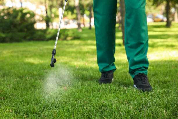 Best Insect Control  in Rossford, OH