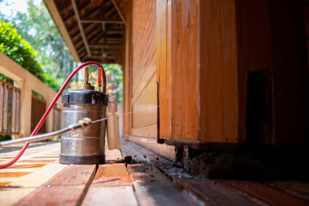 Best Pest Removal Services  in Rossford, OH