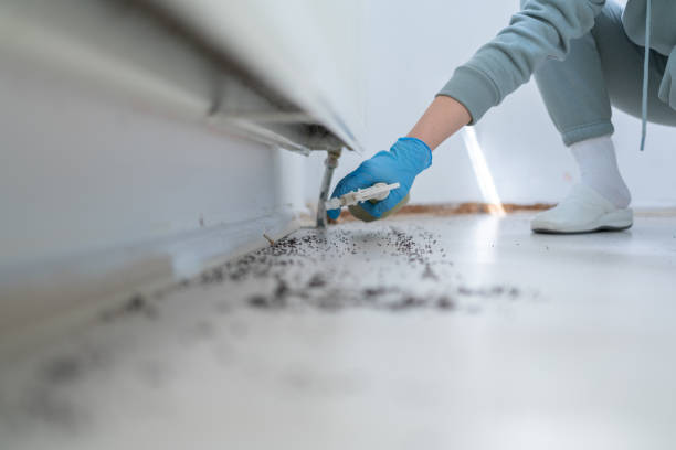 Pest Prevention Services in Rossford, OH